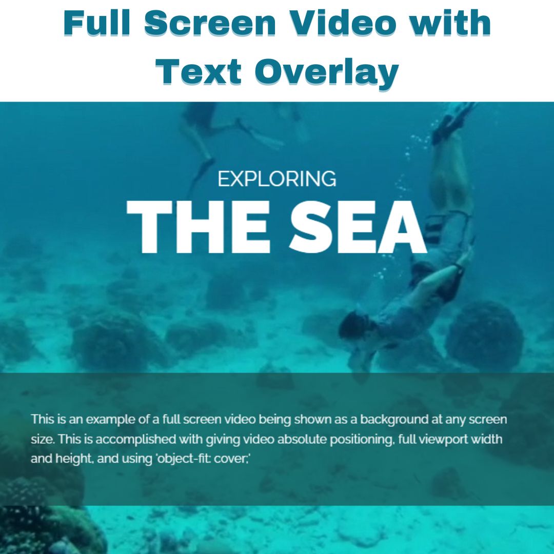 Create Full Screen Video with Text Overlay HTML and CSS.jpg